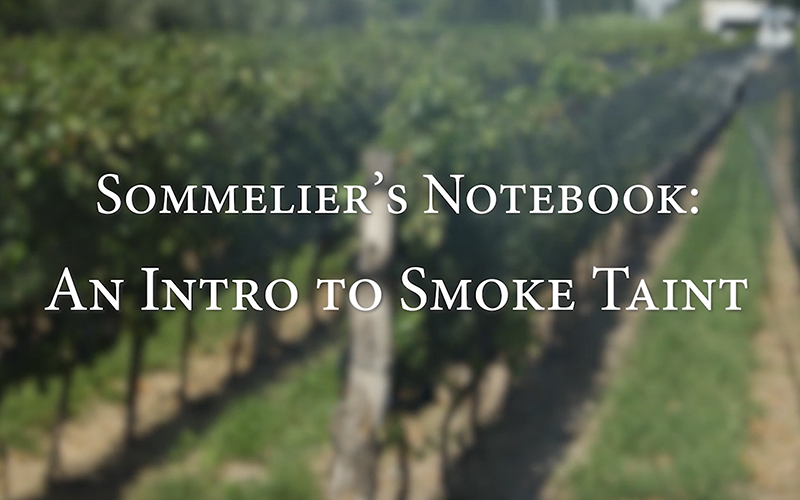 Blog Post - The affect of smoke taint and fires on wine